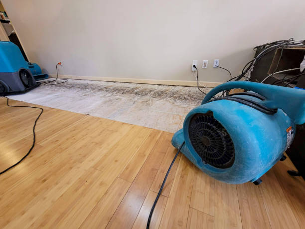 Professional Water Removal technician working in Hull, TX